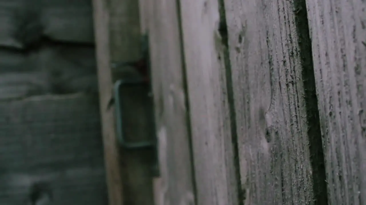 Rain Drops On an Old Wooden Gate