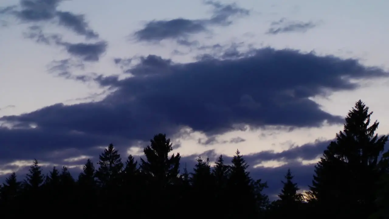 Sky Night TImelapse Clouds and Trees