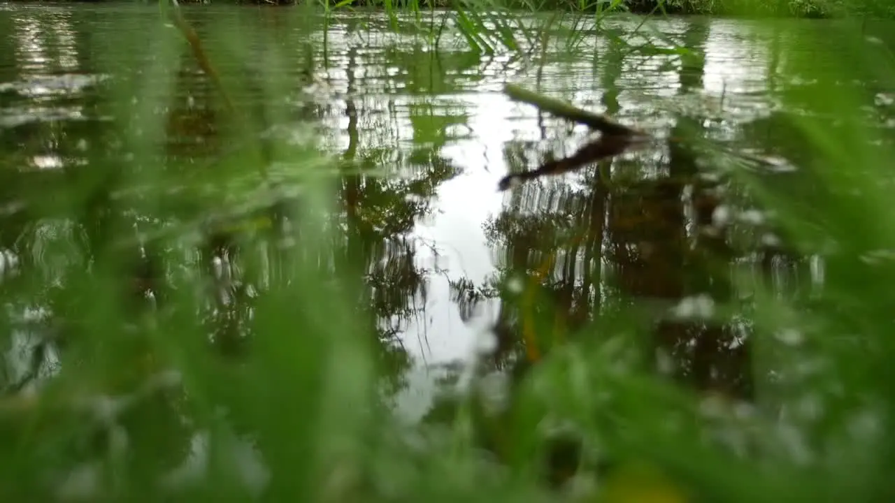 Green Rippling Water