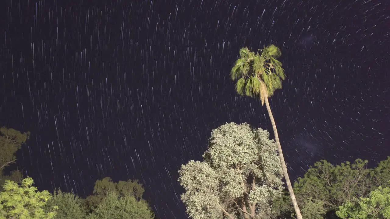 Star Trails 