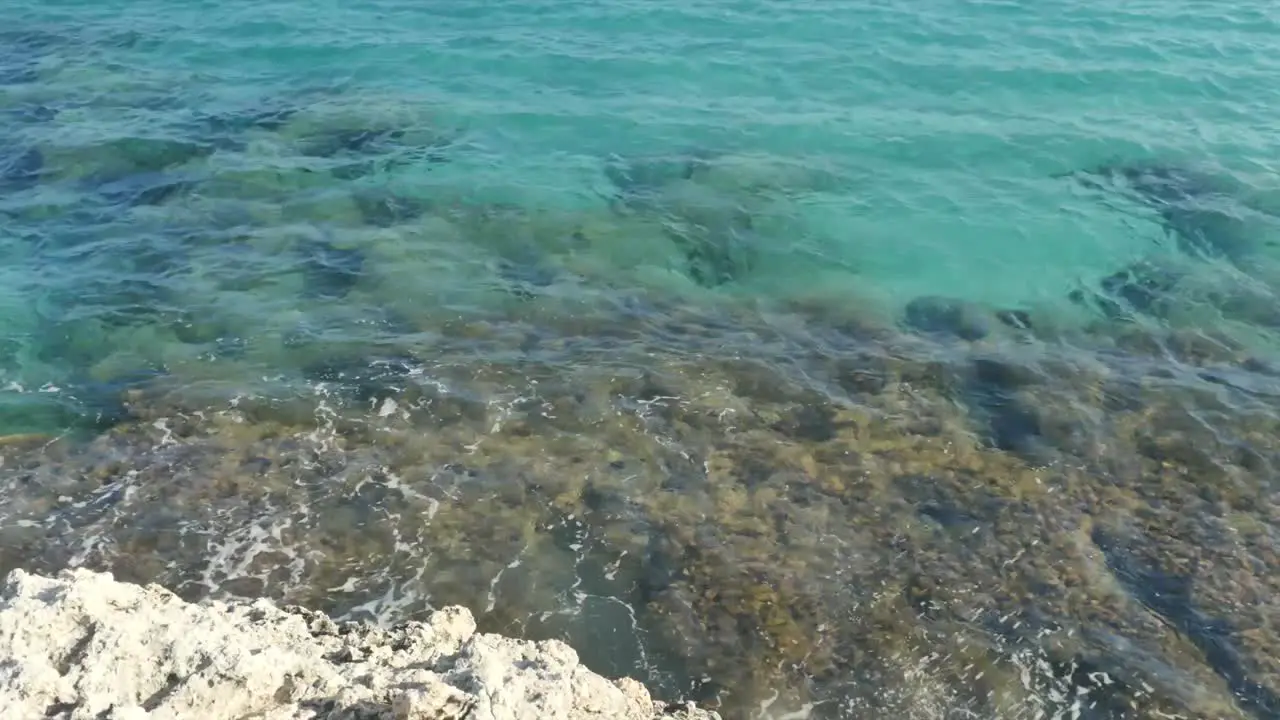 Turquoise Shoreline and Reef