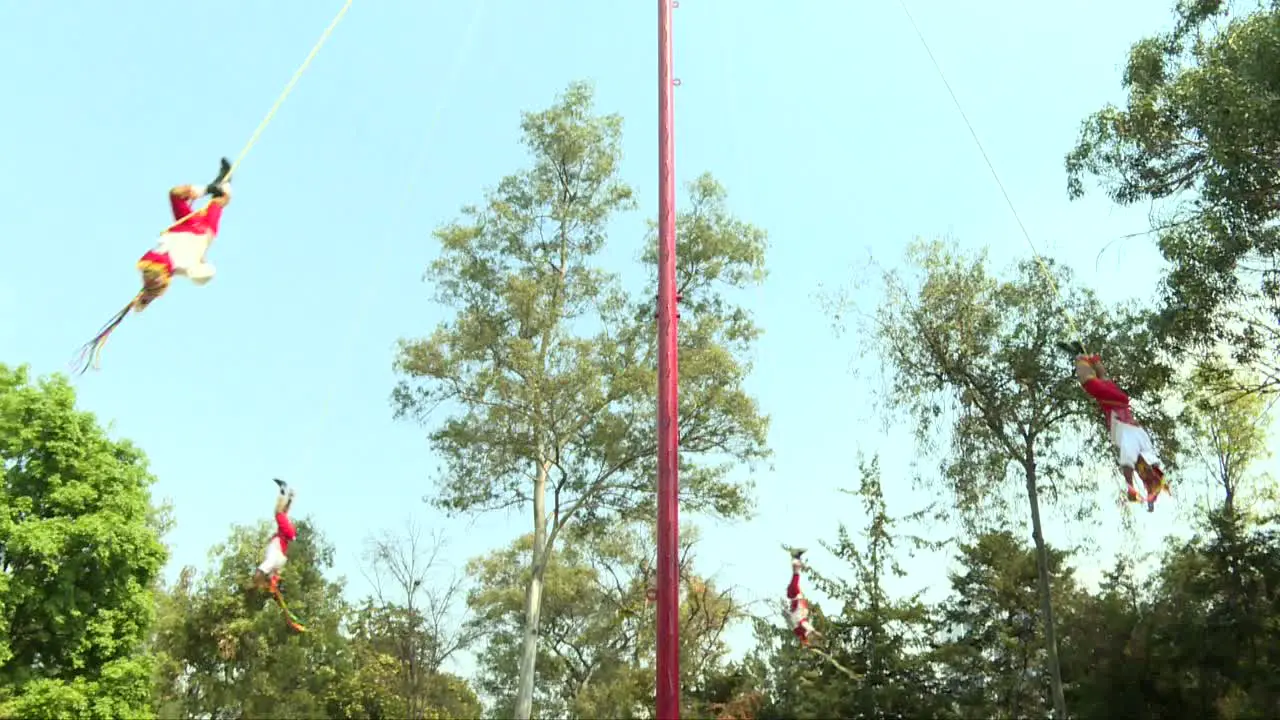 tied mexicans flying around a pole