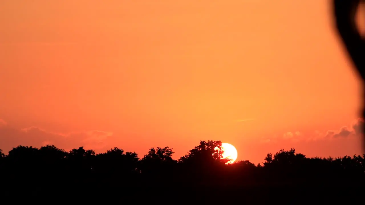 Taking a Walk at Sunset