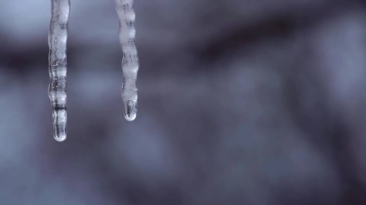 Icicles Melting