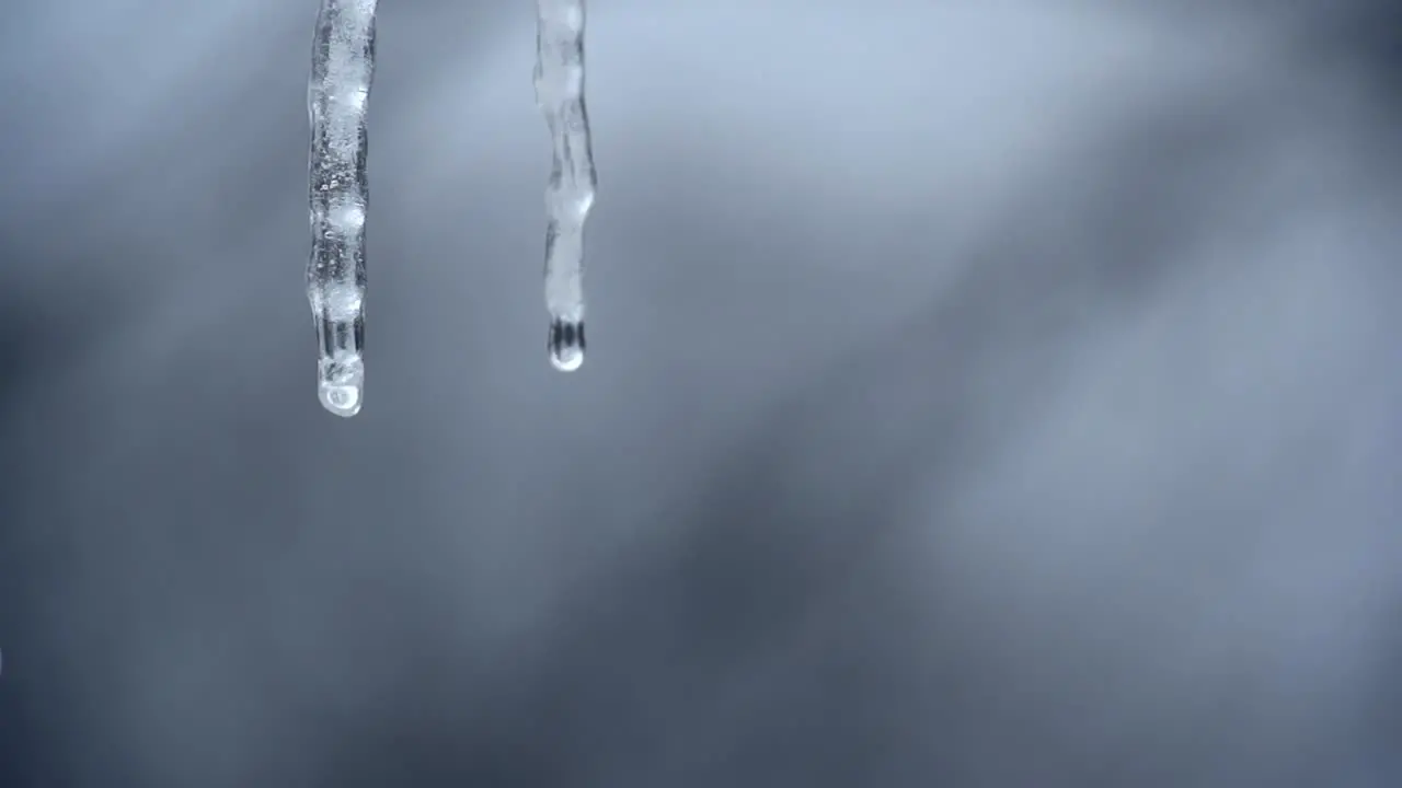 Icicles Melting Slow Motion