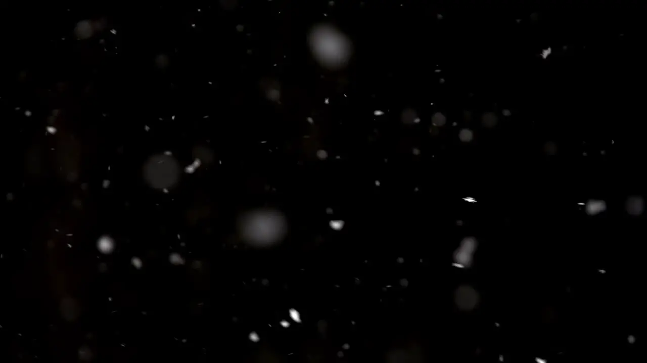 Snow Falling