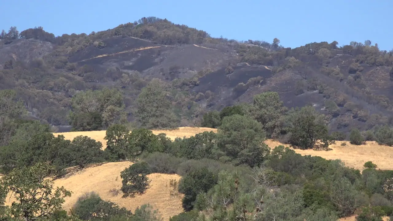 California Burned Area On Hills