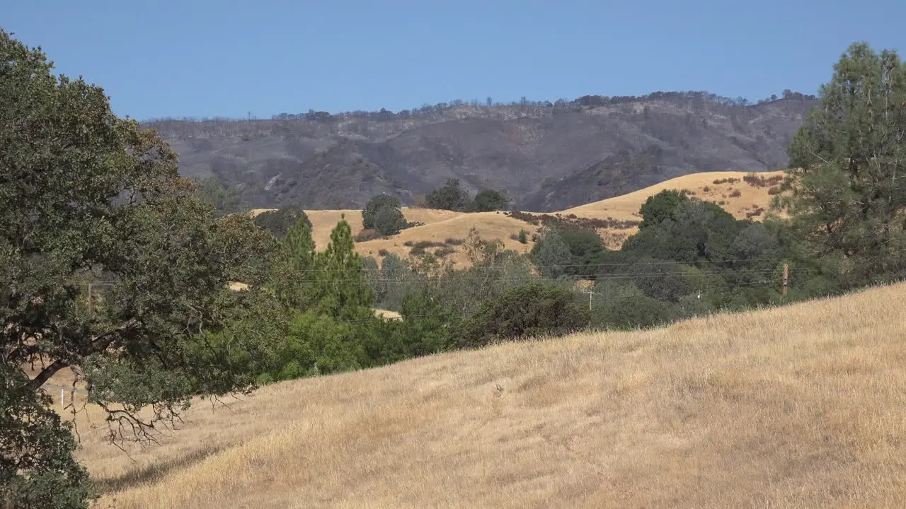 California Hilly Landscape Of Grass And Trees With Burned Area Beyond