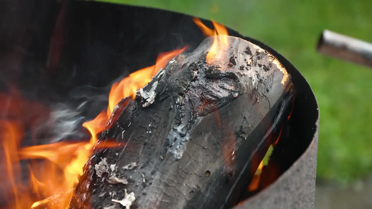 resin burns on a pine log