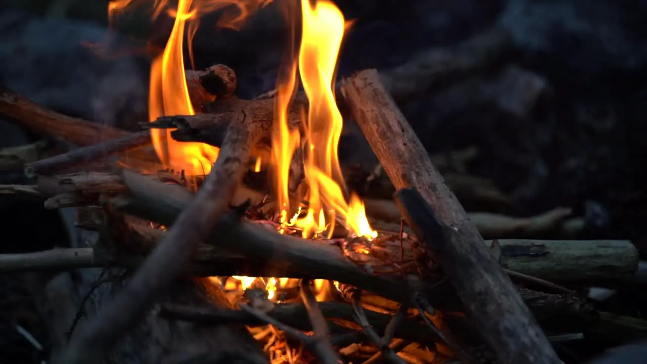 burning campfire closeup during winter