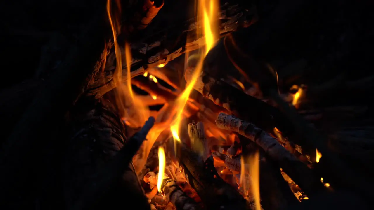 cooking hot dog in the camp fire