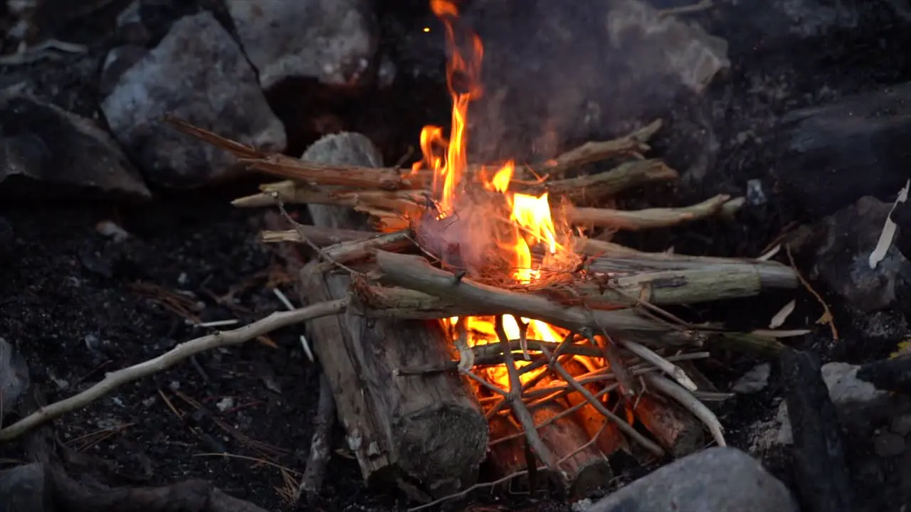 starting Campfire down shot of crackling wood