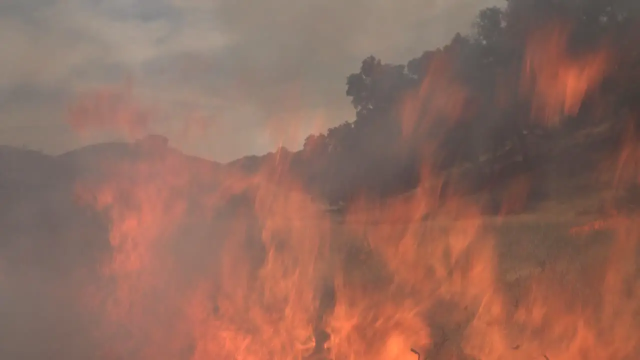 A Controlled Prescribed Wildfire Burns Around A Remote Unmanned Camera In A Wilderness Area In Santa Barbara County California 1