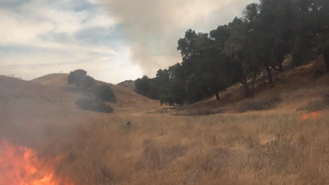 A Controlled Prescribed Wildfire Burns Around A Remote Unmanned Camera In A Wilderness Area In Santa Barbara County California