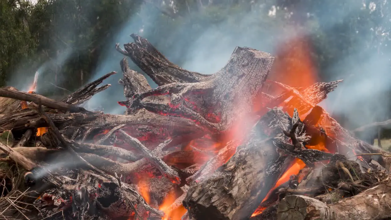 A close up time lapse shot of wood slowly being burnt into ash on a big bonfire