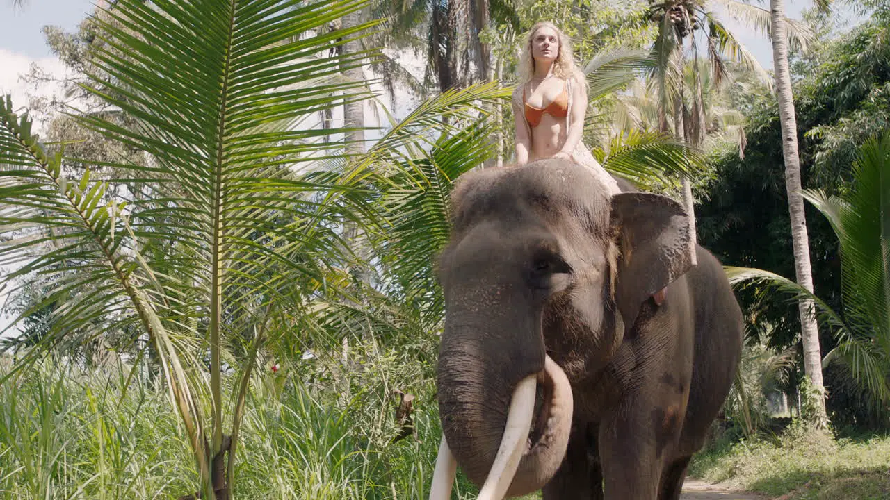 happy woman riding elephant in jungle exploring exotic tropical forest having fun adventure with animal companion 4k