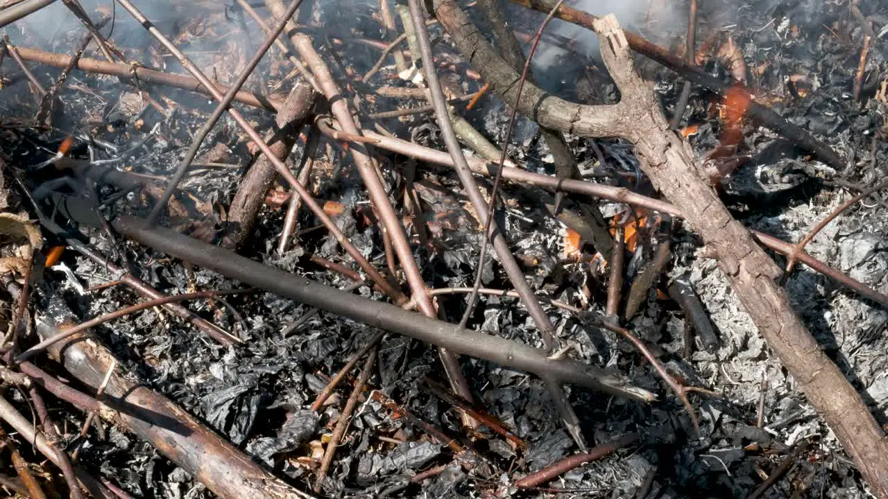 Sticks and leaves burning in a backyard fire