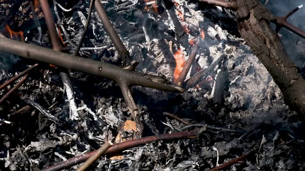 Close up of a backyard bonfire | SLOW MOTION