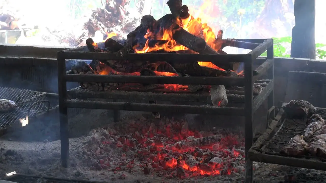 Fire in a grill