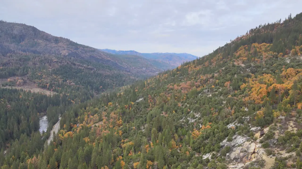 Aerial drone footage flying through a forested valley after a wildfire