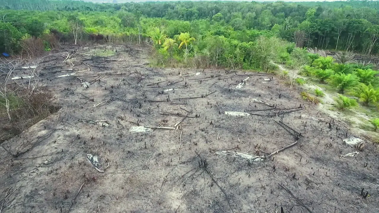 burning of forest land for agriculture