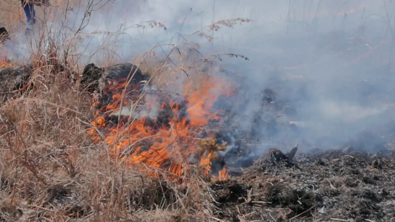 Close up slow motion field fire