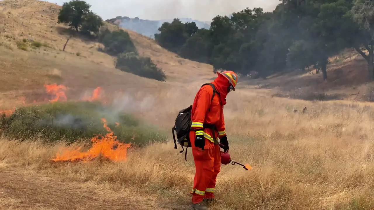 A Controlled Prescribed Wildfire Is Lit By A Firefighter In A Wilderness Area In Santa Barbara County California 4