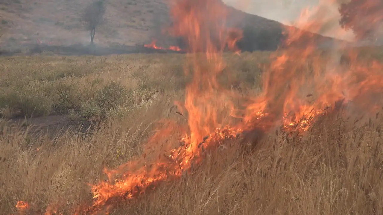 A Controlled Prescribed Wildfire Is Lit By A Firefighter In A Wilderness Area In Santa Barbara County California