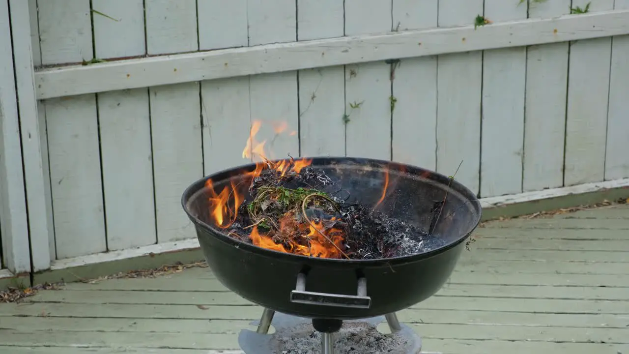 close up burning dry leaves in the backyard