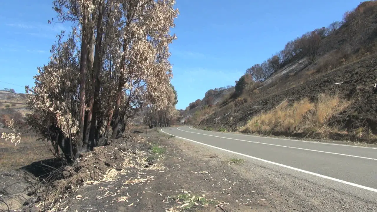 Chile coast range burned over along a road