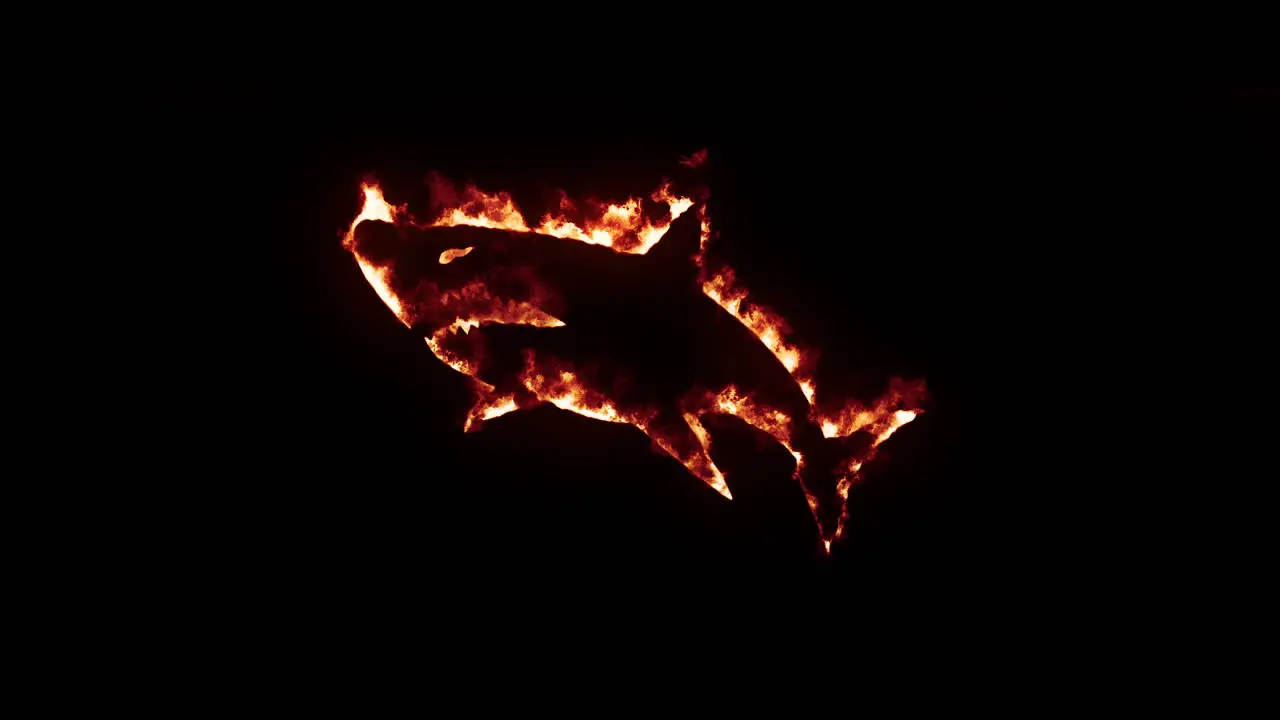 Shark on fire and burning effect with black background