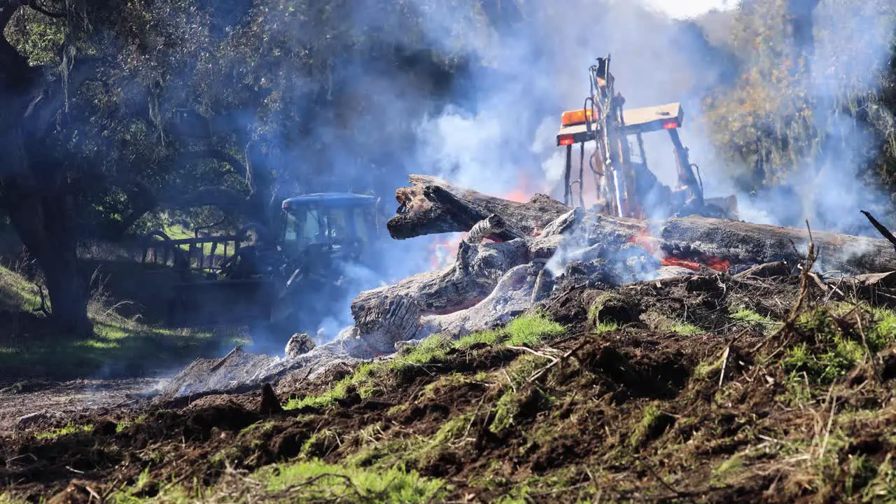 Control Burn Wildfire Prevention Tractors Smoke Wind