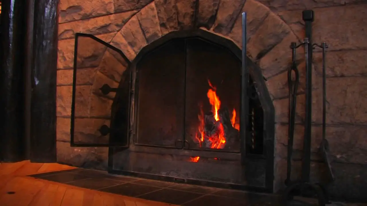 Wood burns in a fireplace