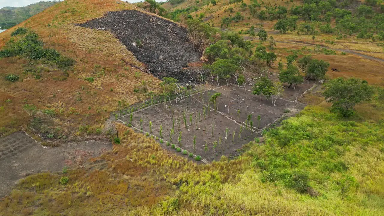 Burning of savannah grassland for gardening in coastal lowlands