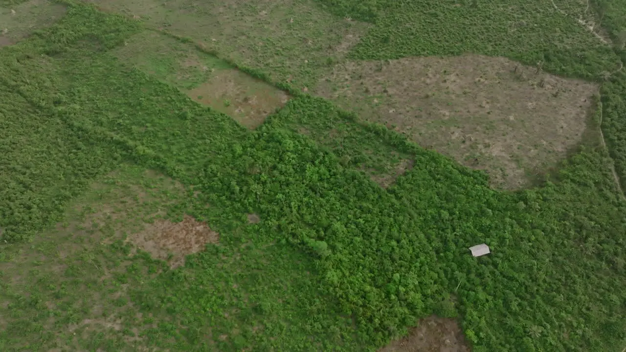 Aerial top down footage of burn patches in the forest and jungle in the rural areas of Sierra Leone