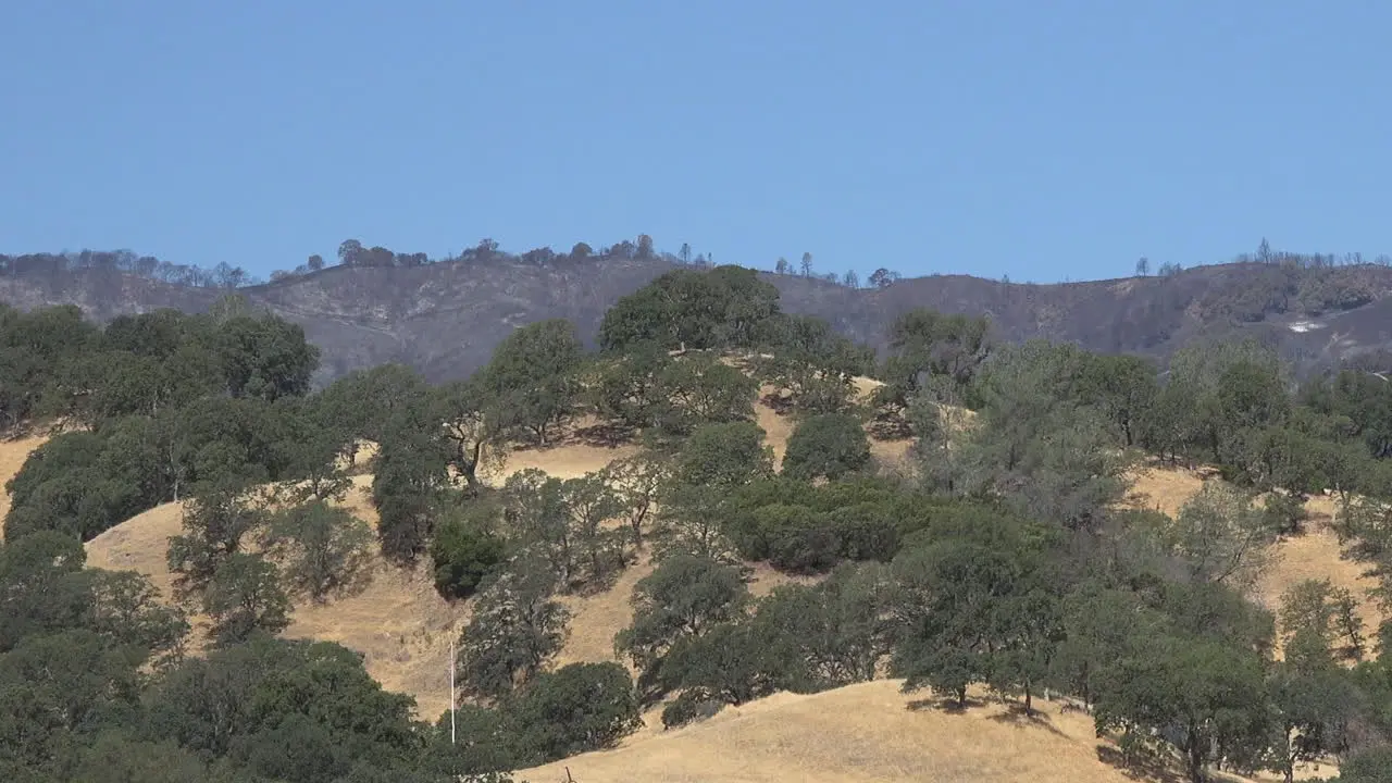 California Burned Area Beyond Oak Savanna