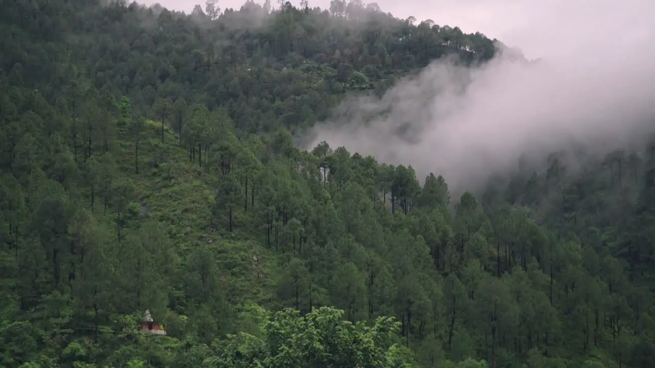 Initial heavy wildfire smoke emit from green forest time lapse