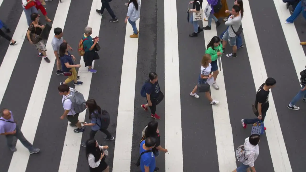 View of Pedestrian Crossing Taiwan