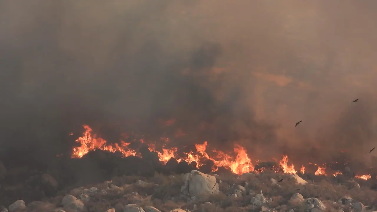 Black smoke emission from burning of trash comprising