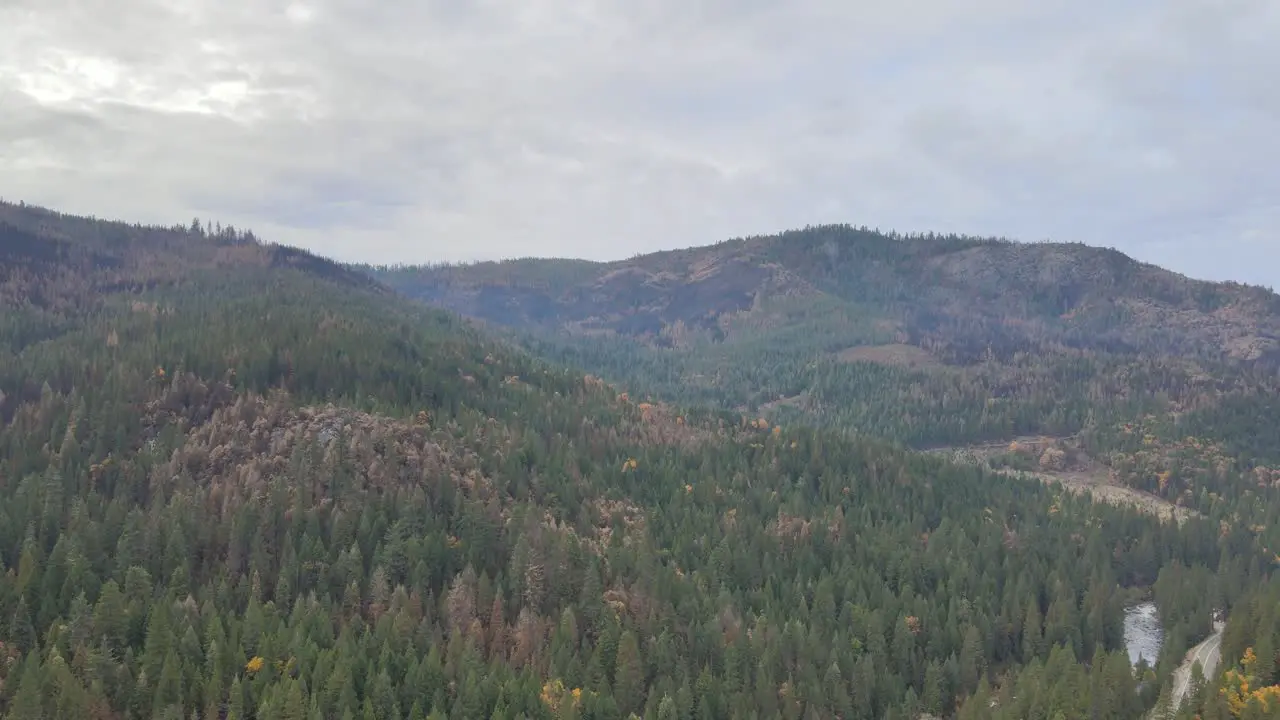 drone aerial descends while looking a wildfire burn scar on a mountain side