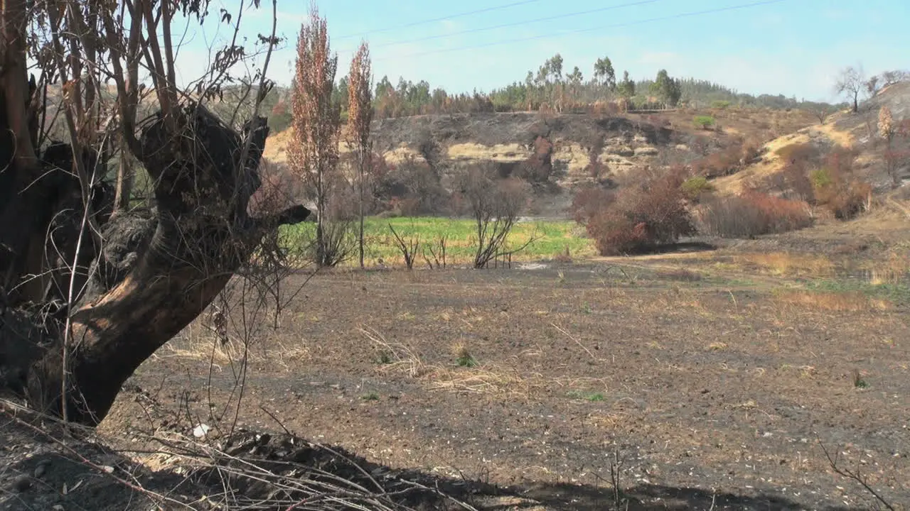 Chile coast range burned over fields