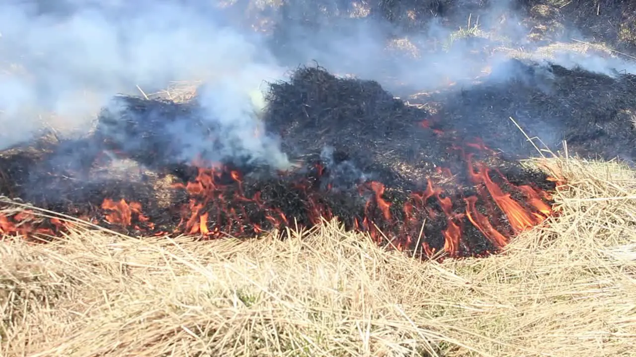 Burning dry yellow grass