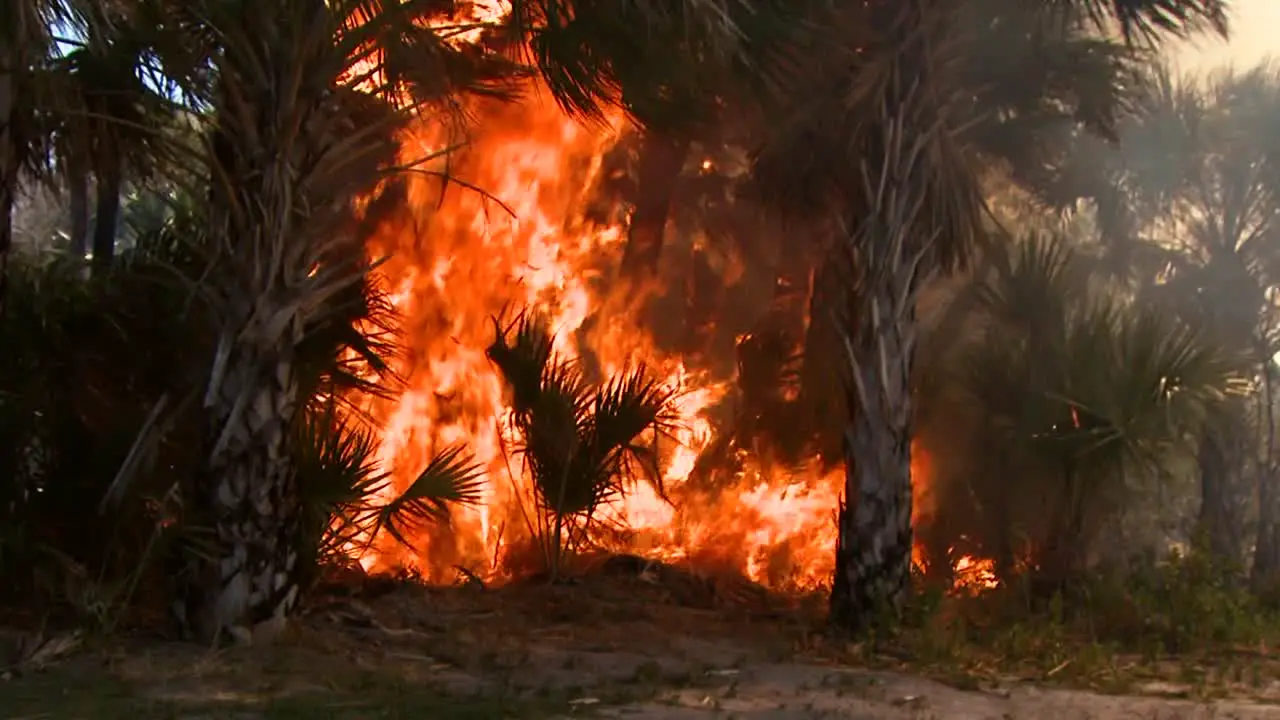 Firefighters Perform A Prescribed Burn At Merritt Island National Wildlife Reserve 2011