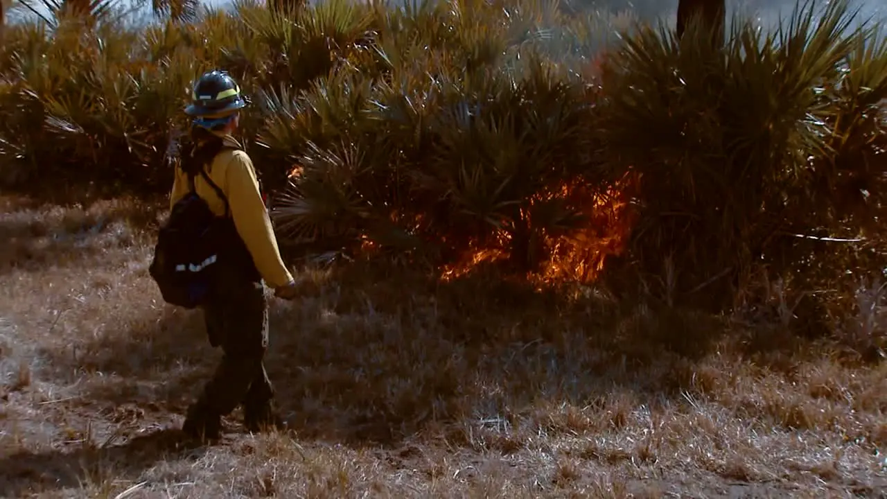 Firefighters Conducting A Prescribed Burn At Merritt Island National Wildlife Reserve 2011