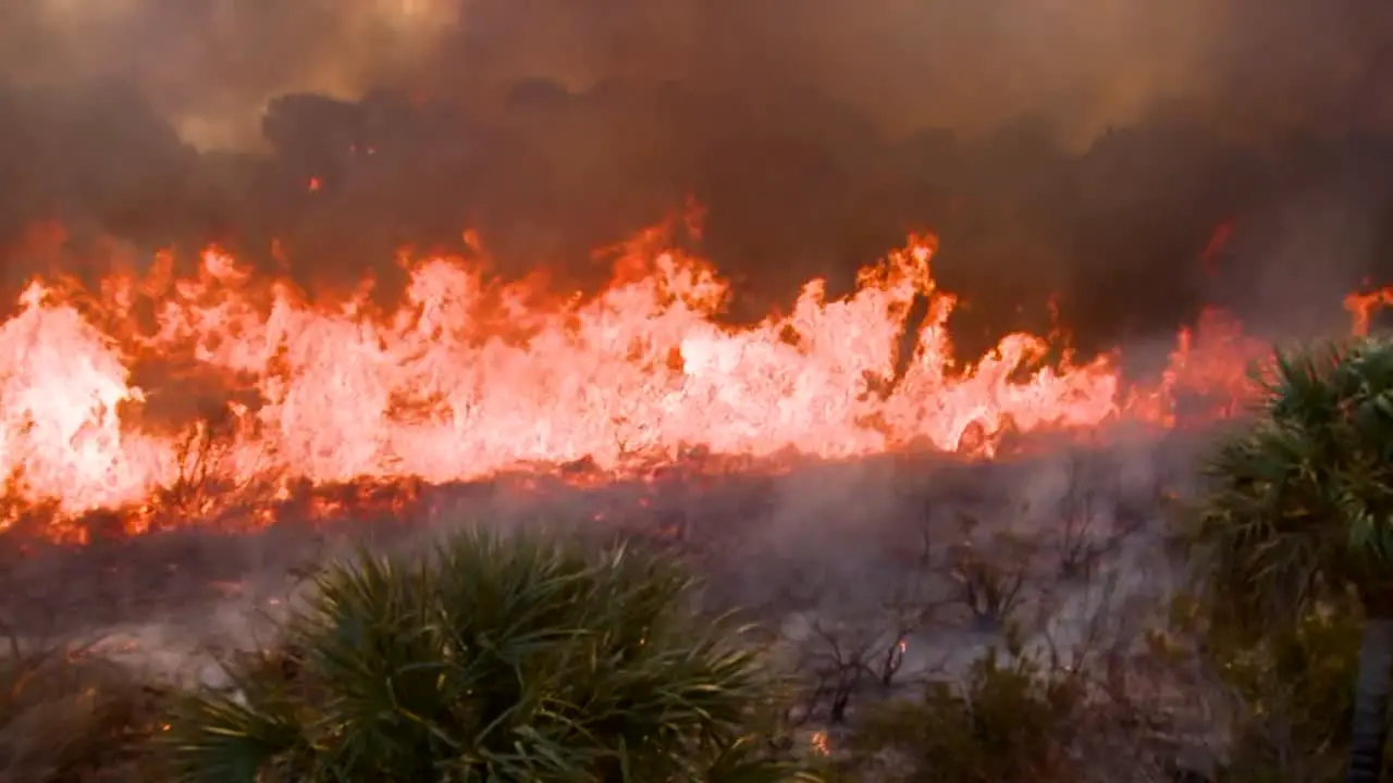 Aerials Of Merritt Island National Wildlife Reserve During A Prescribed Burned 2011