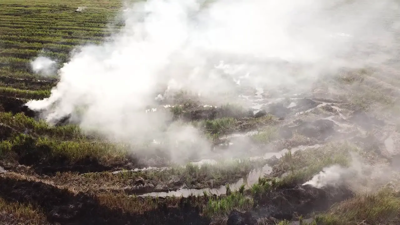 Lot of white smoke release during open burning at paddy field at Malaysia