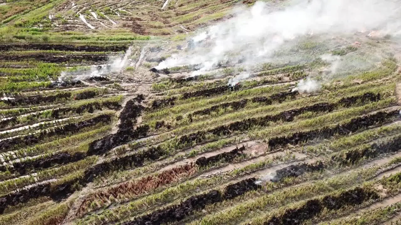 Aerial open fire happen in paddy farm to clear waster of harvesting