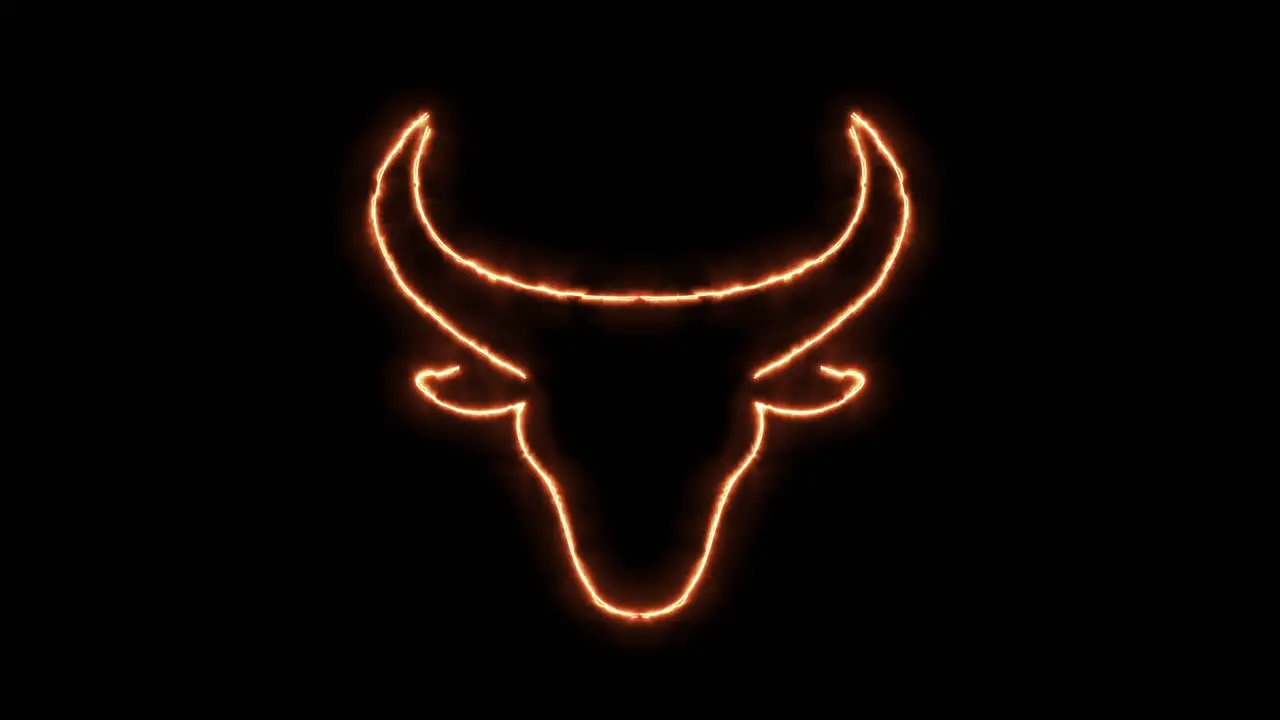 Burning bull head and bull face in neon light