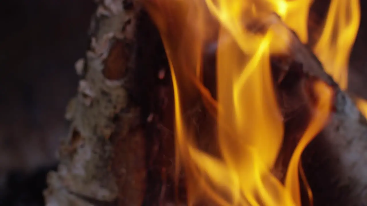 Burning Logs Slow Motion 4K 01