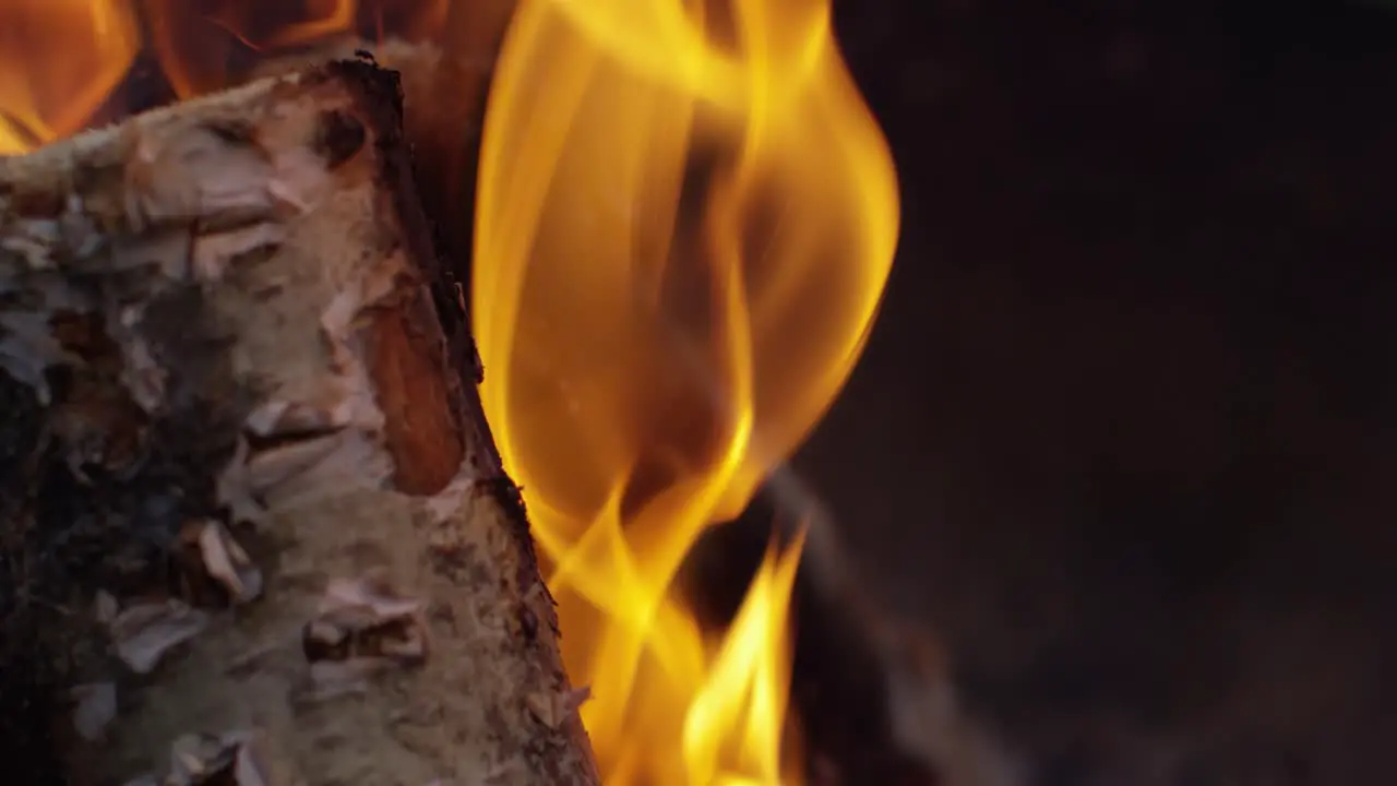 Burning Logs Slow Motion 4K 05